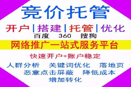 SEM托管代运营案例解析：ROI大幅提升的秘诀